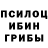 Канабис OG Kush Colin Wiens