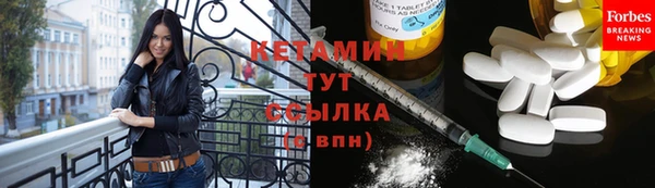 прущие грибы Новодвинск