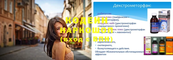 прущие грибы Новодвинск