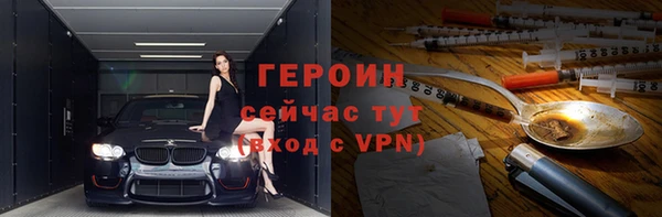 прущие грибы Новодвинск