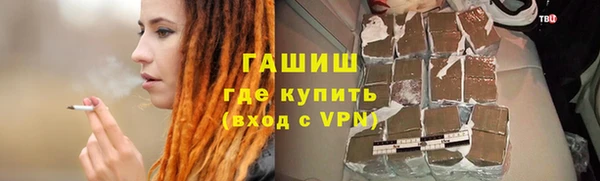 прущие грибы Новодвинск