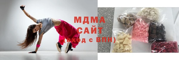 прущие грибы Новодвинск