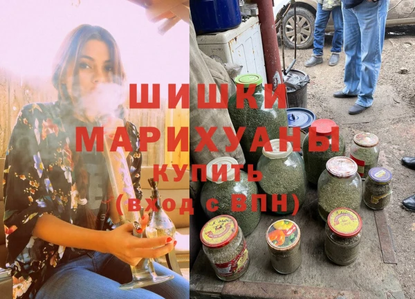 прущие грибы Новодвинск