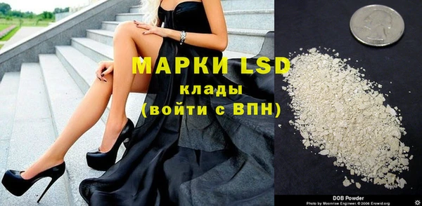 прущие грибы Новодвинск