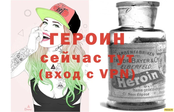 прущие грибы Новодвинск