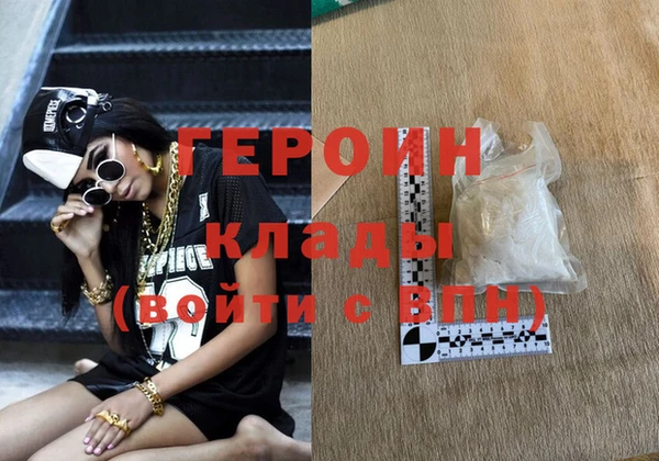прущие грибы Новодвинск