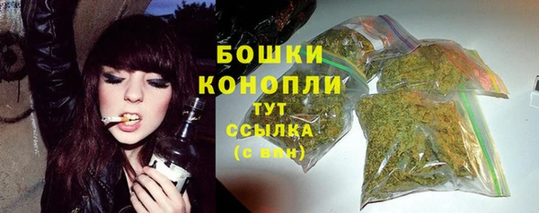 прущие грибы Новодвинск