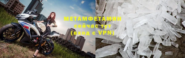 прущие грибы Новодвинск