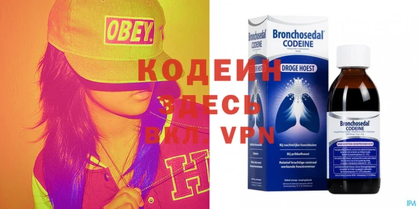 прущие грибы Новодвинск
