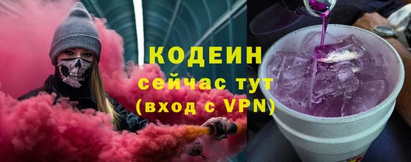прущие грибы Новодвинск